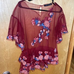 Zara Sheer top